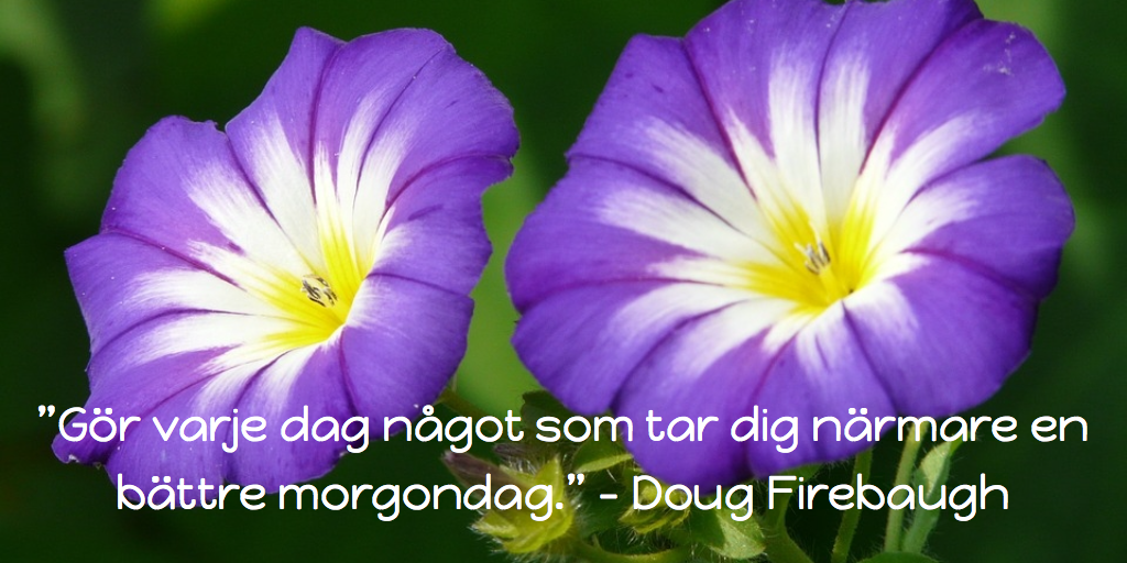 ”Gör varje dag något som tar dig närmare en bättre morgondag” – Doug Firebaugh