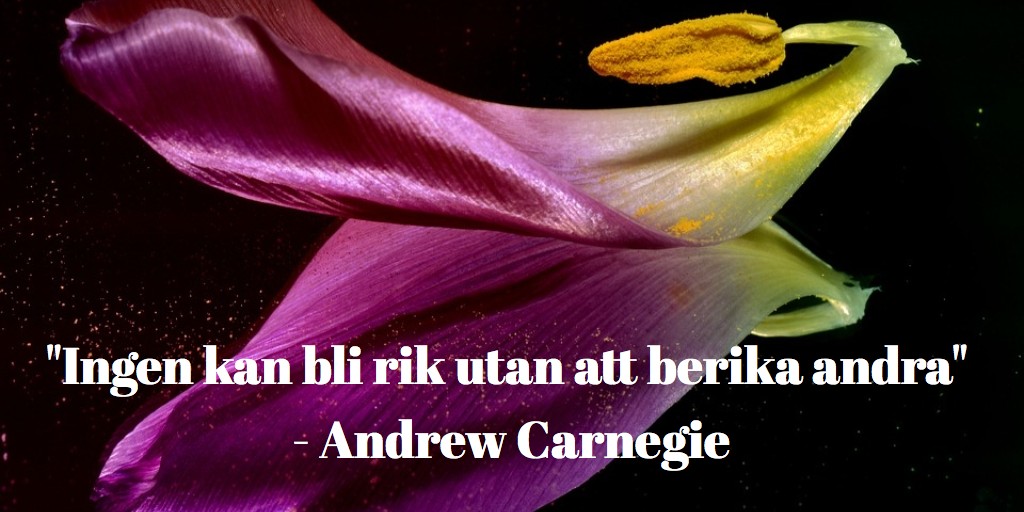 ”Ingen kan bli rik utan att berika andra” Andrew Carnegie