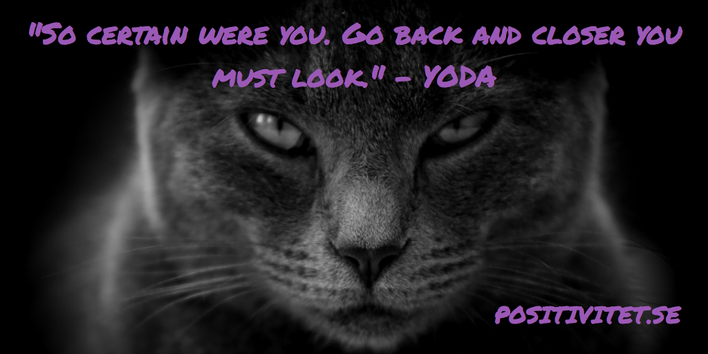 “So certain were you. Go back and closer you must look” – Yoda