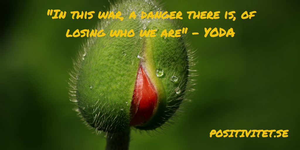 “In this war, a danger there is, of losing who we are” – Yoda