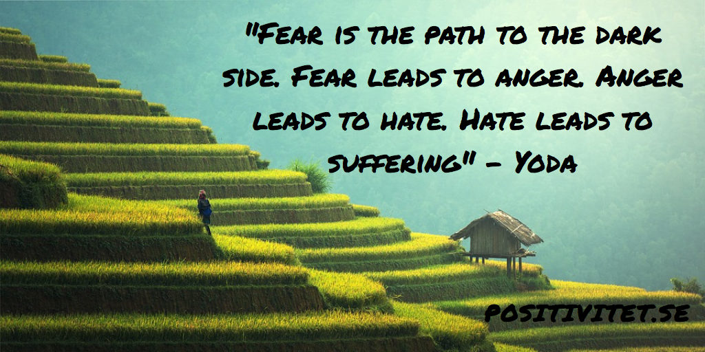 #Fear is the path to the dark side. Fear leads to anger. Anger leads to hate. Hate leads to suffering” – Yoda